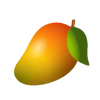 Mango SEO